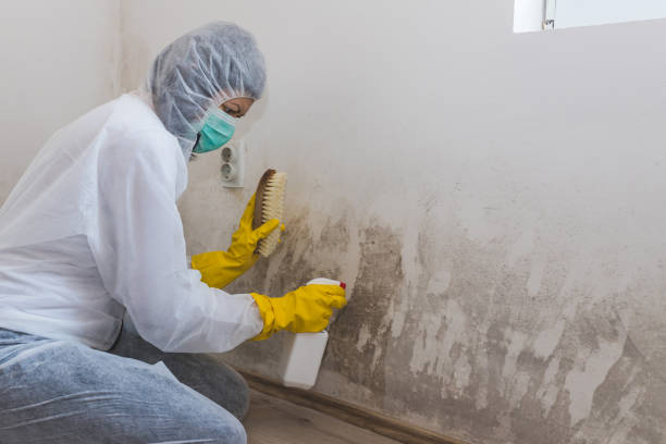 Best Residential Mold Removal  in Byron Center, MI