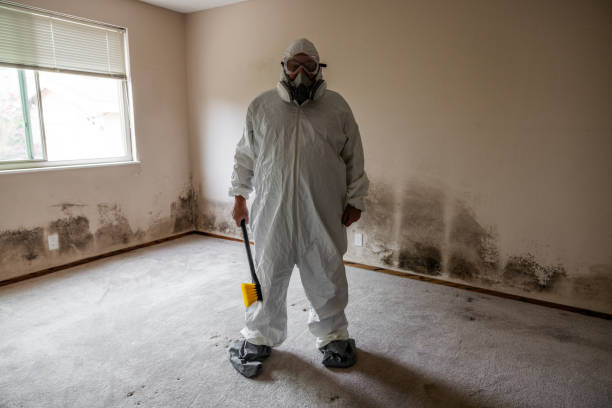 Mold Testing and Removal in Byron Center, MI